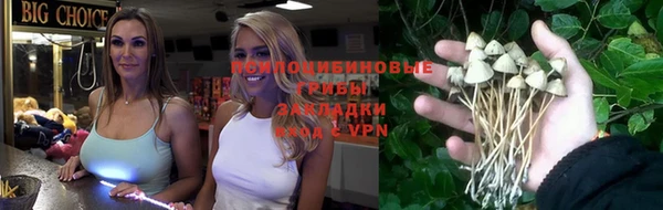 метадон Няндома