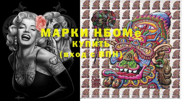 альфа пвп Новодвинск