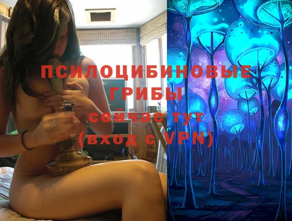 ECSTASY Нязепетровск