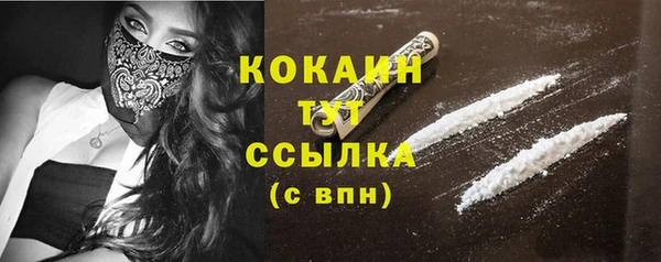 метадон Няндома