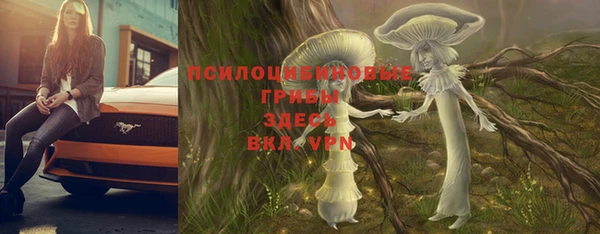а пвп мука Новозыбков